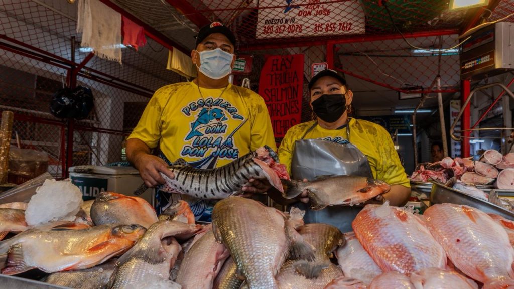 whatsapp image 2026 03 30 at 09.11.51